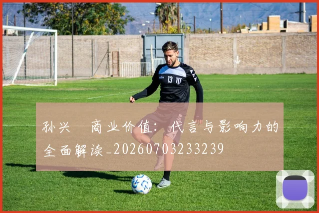 孙兴慜商业价值:代言与影响力的全面解读_20260703233239