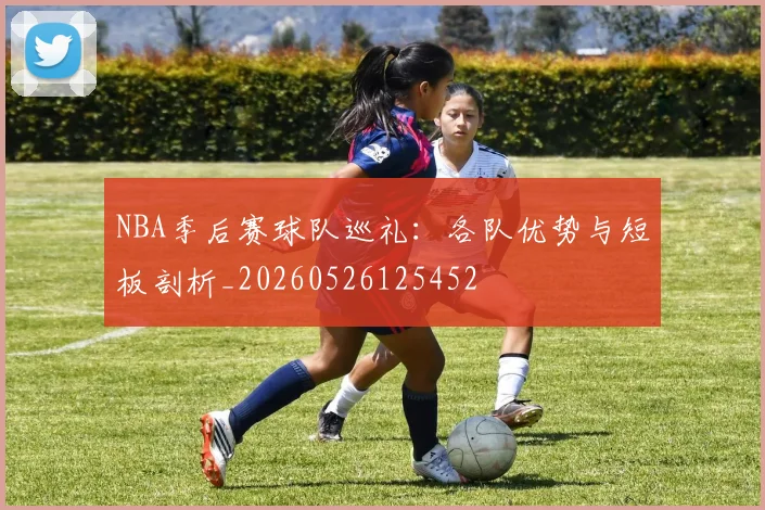 NBA季后赛球队巡礼：各队优势与短板剖析_20260526125452